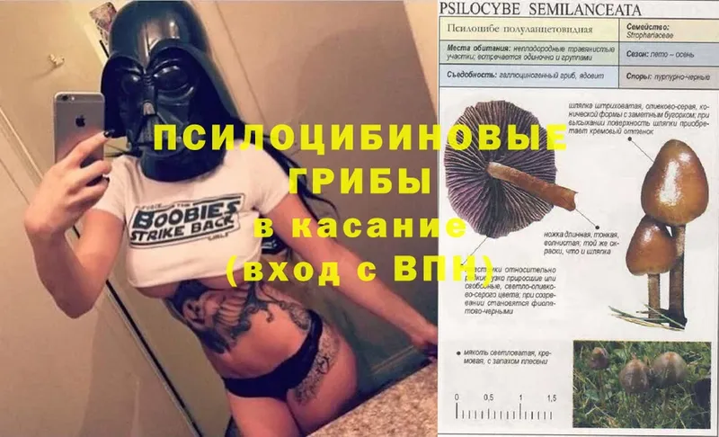 Галлюциногенные грибы Magic Shrooms  что такое   blacksprut ТОР  Волоколамск 