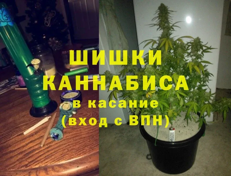 Бошки марихуана SATIVA & INDICA  omg маркетплейс  Волоколамск  цена наркотик 